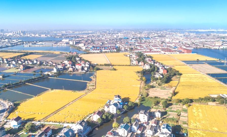 盛泽镇,是不是江苏强镇发展的一个奇迹?