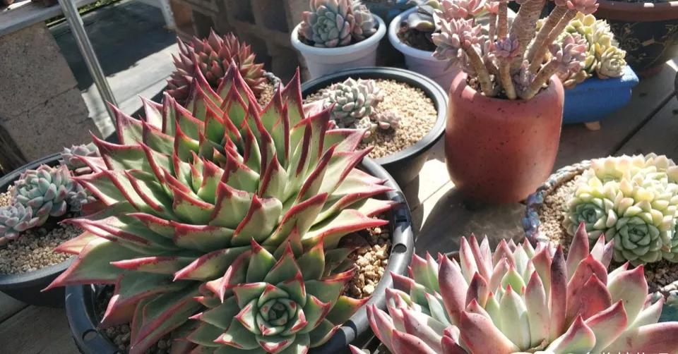 10年后冷门有发展的职业,月入10万的冷门新职业