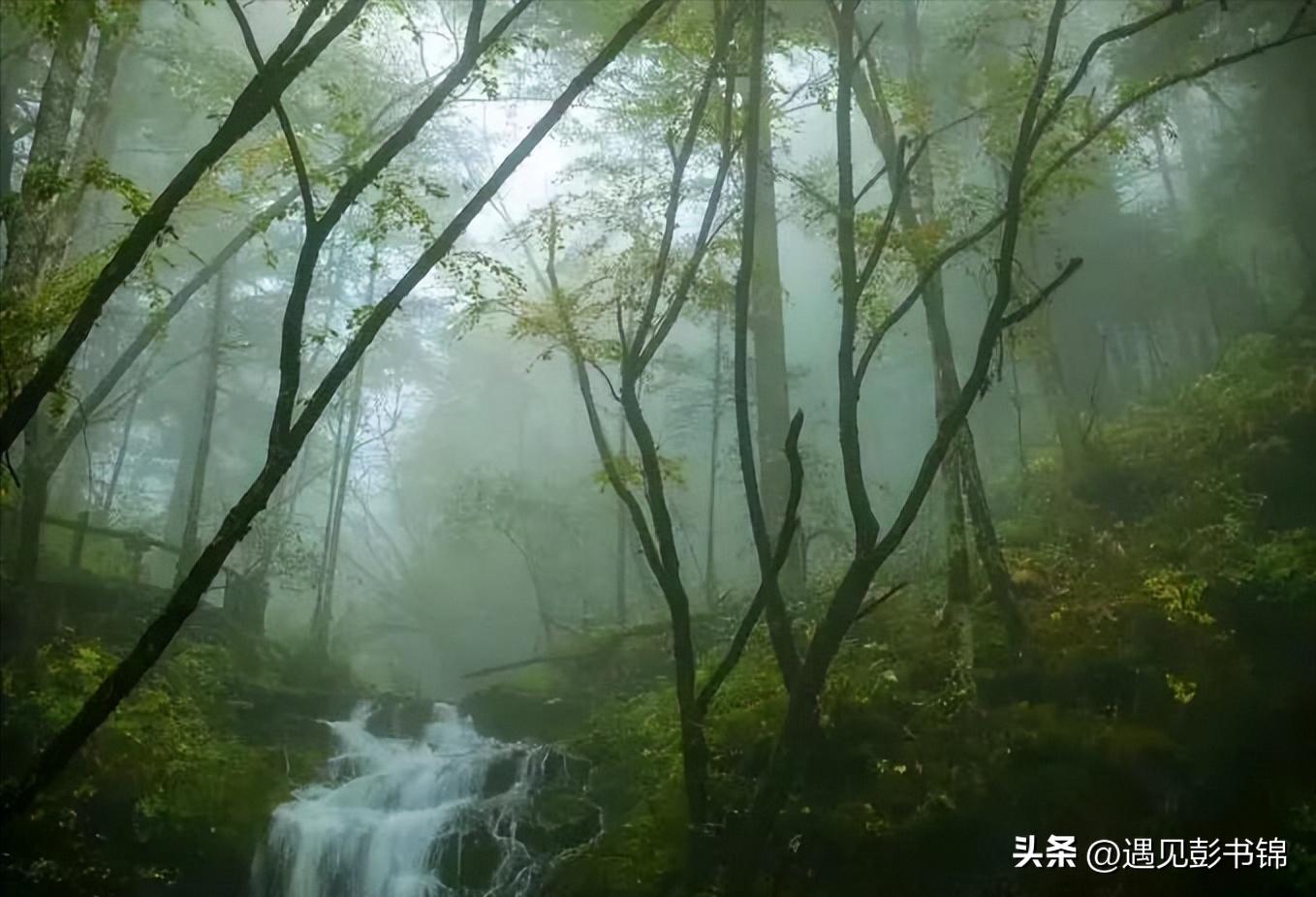 在乡下的初恋,青涩的乡村