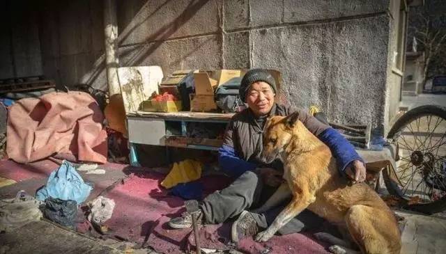 1962年，全村闹饥荒，狼群每天给老人送肉，狼会报恩一点不假