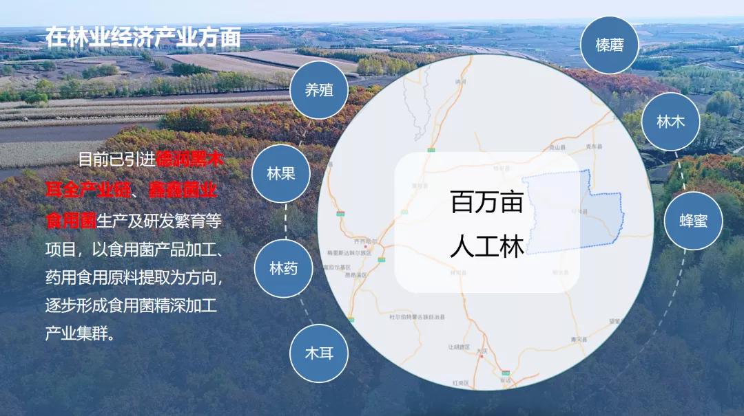 拜登支持催生新产业,黑龙江省拜泉县发展规划