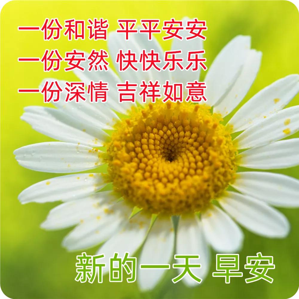 最新早安心语正能量短句,早安的问候语正能量句子励志图片