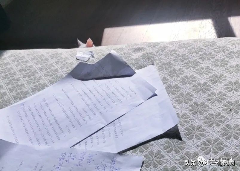 这回这妖精是真的要拆家了