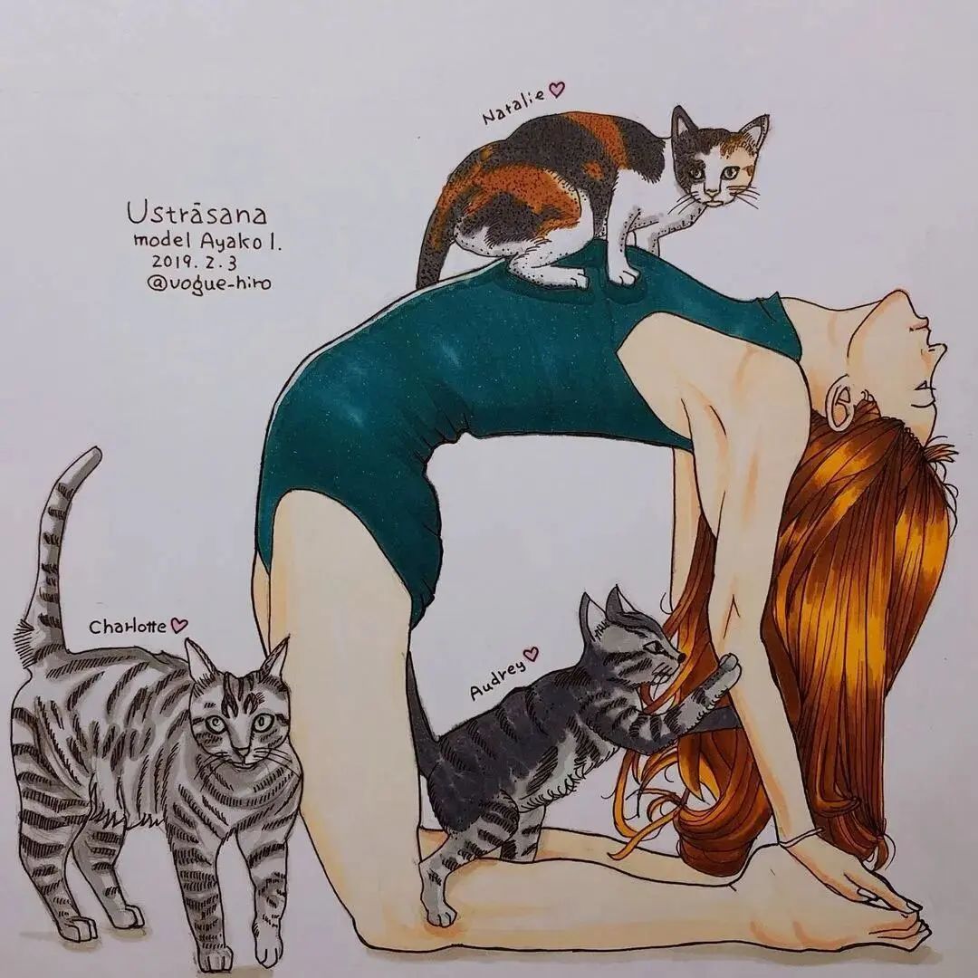 瑜伽经典语录人生感悟,瑜伽经里最重要的句子是