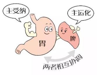 养孩子只是吃饱穿暖不生病吗,养孩子可不是只管吃饱喝好