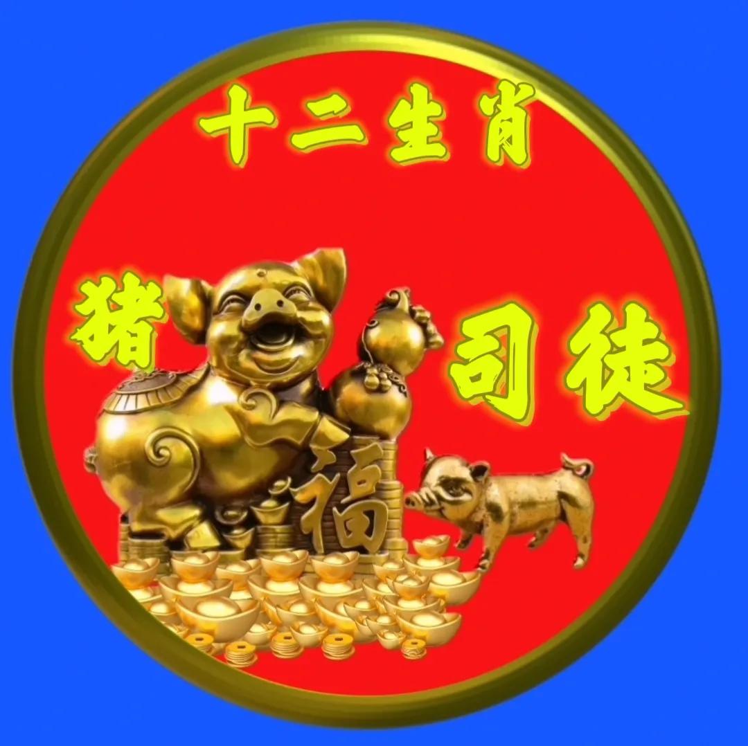 12生肖猪的姓氏头像,十二生肖猪姓氏头像壁纸