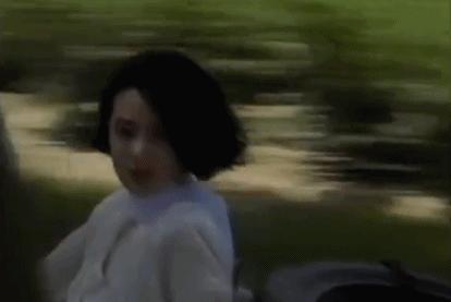 栾树王菲,咏梅栾树王菲