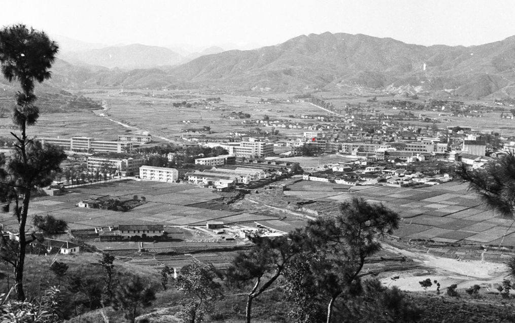 九二年平远缉毒全过程,1992年平远街缉毒