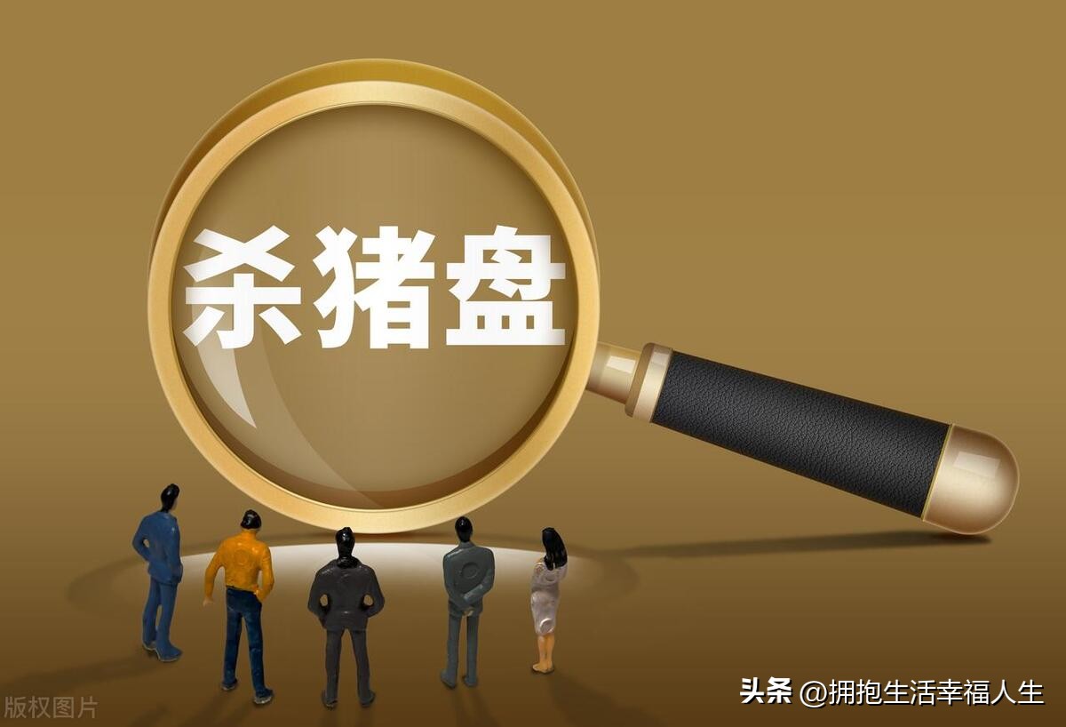 杀猪盘恋爱诈骗剧情,杀猪盘骗感情的视频