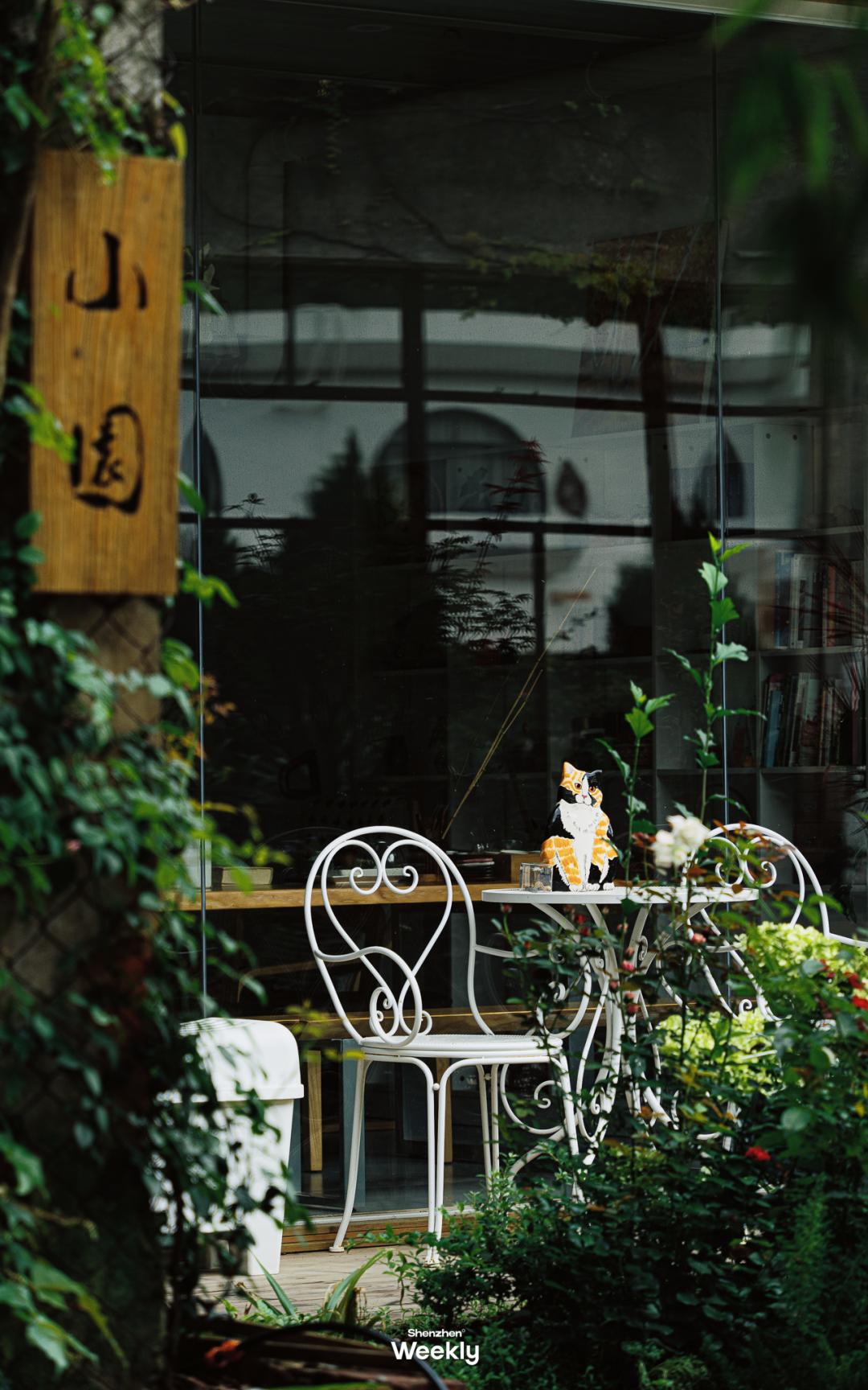 深圳玻璃海适合什么季节去,深圳适合藏玻璃海的地方