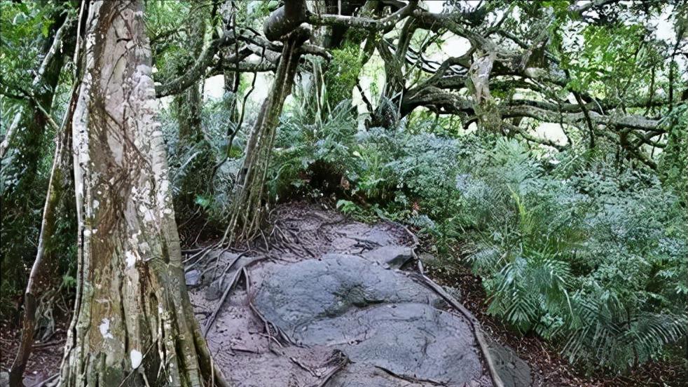 鬼斧神工大自然十大奇观,地球上的七大自然奇观