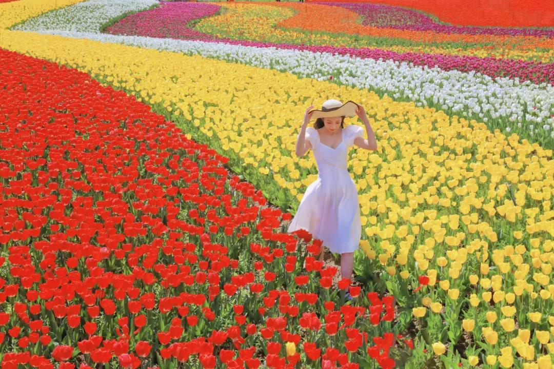 大丰区百强区,大丰区2021年全国排名