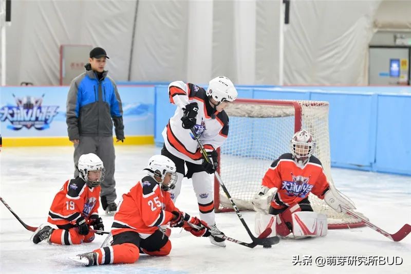 适合孩子报的兴趣班前10名排行榜,适合4-15岁小孩子报的兴趣班排名