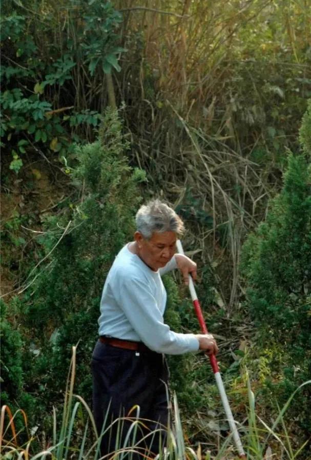 李白端午思念亲人的诗,端午思亲人诗句