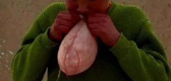 吃了猪尿泡,万事皆simple