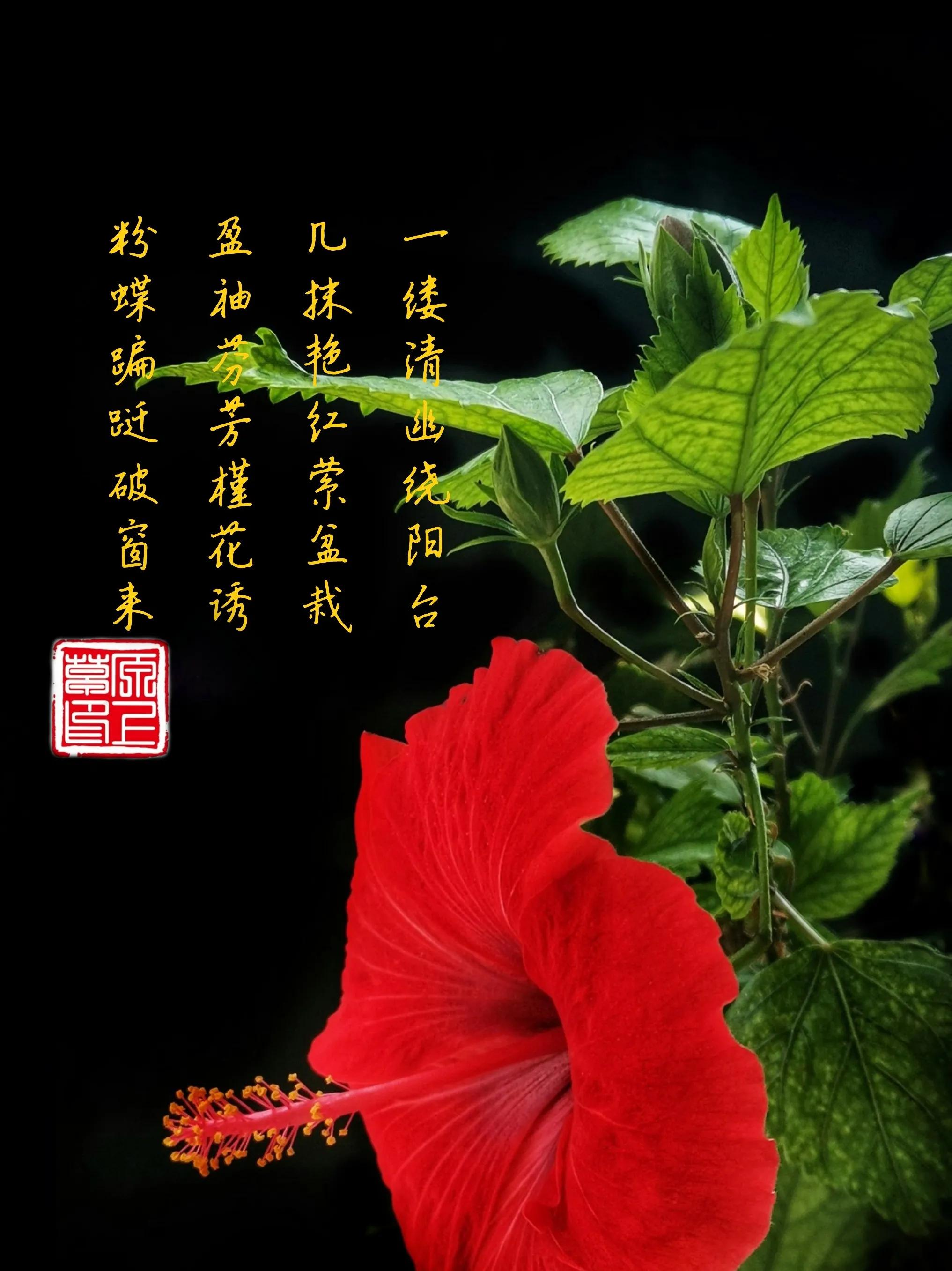 百花酿诗韵芬芳留人间（一）