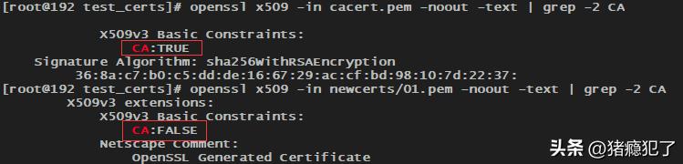 如何使用ca证书实现电子签名,自签名https证书