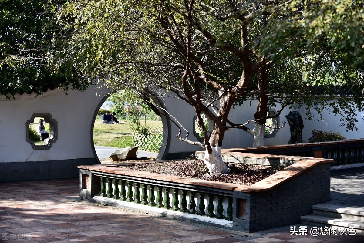 婚姻的陷阱小说畅听版,讽刺微小说圈套