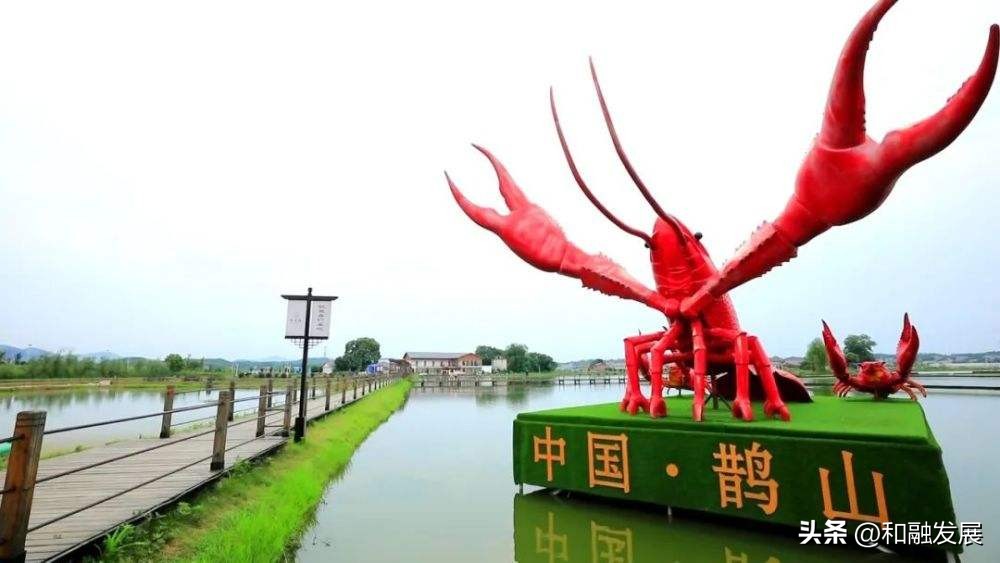 农业转型升级对标高效农业的思考,农业转型发展与乡村振兴