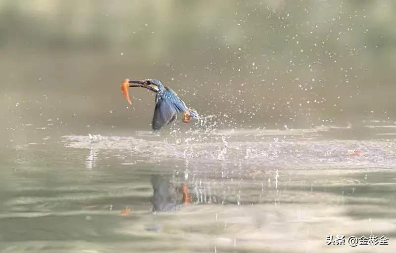 女朋友让交工资卡怎么回复,女朋友要求你上交工资是什么心理