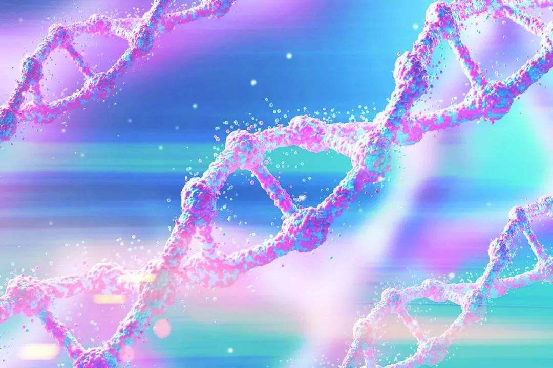 有性生殖与无性生殖后代,自由交配后代基因频率为什么不变