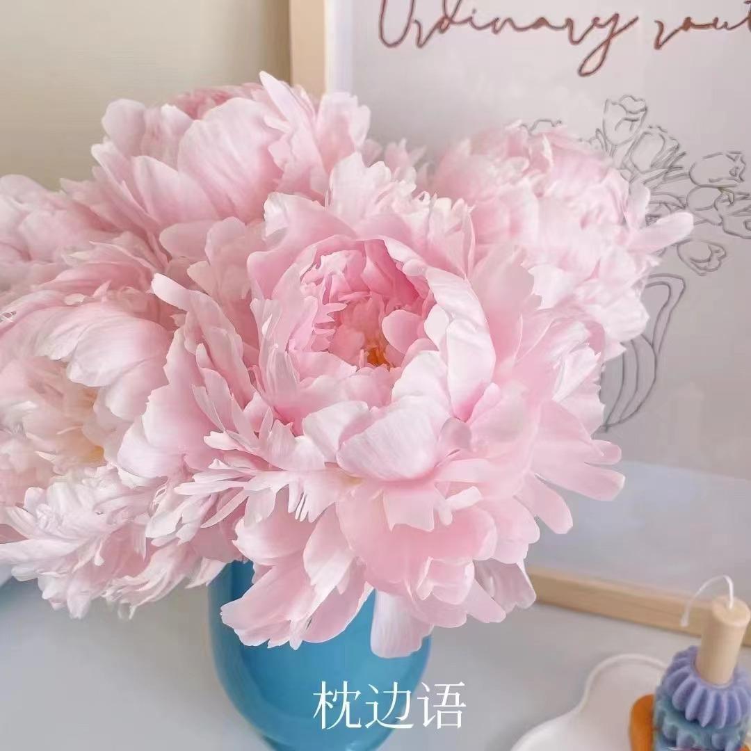 切花芍药每亩种植多少株,种植切花芍药每亩能挣多少钱