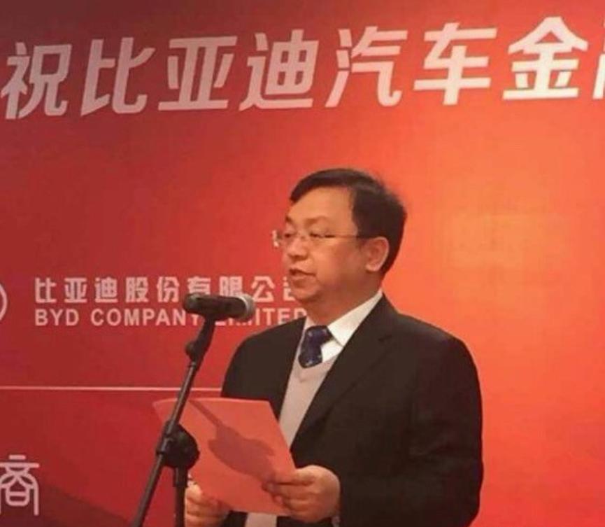 比亚迪狂卖300万辆,比亚迪汽车整体销量