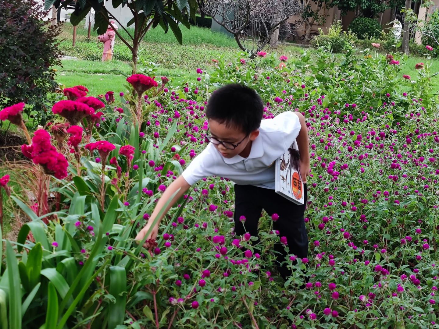 作为家长应该怎样培养孩子的学习,如何培养孩子的兴趣家长心得体会