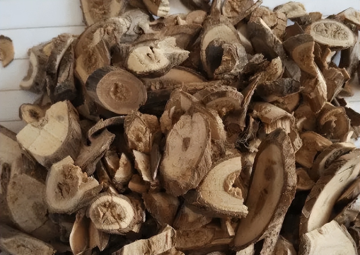 刺五加植物的识别方法,带你识别白薇