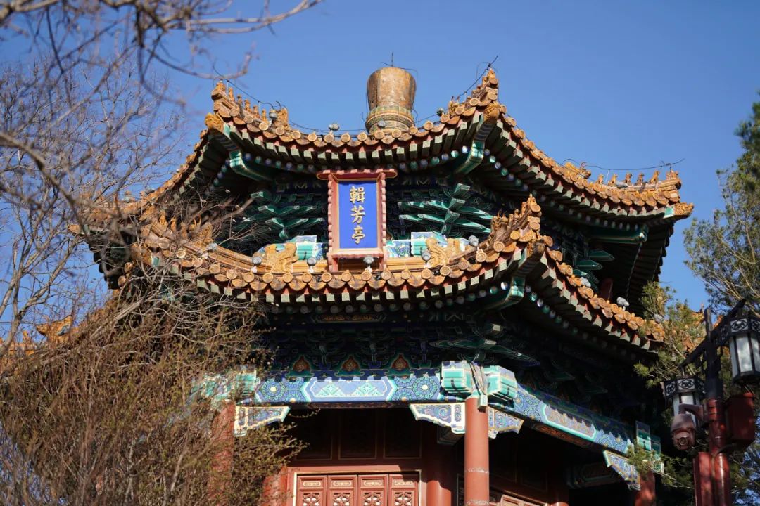 北京景山门票预约必玩景点,景山公园买2元门票怎么办