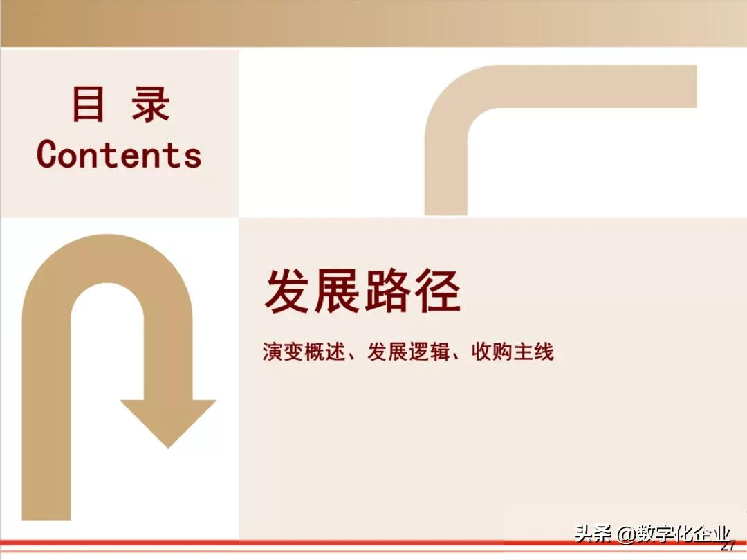 dassault杈剧储,100椤祊pt娣卞害瑙ｆ瀽