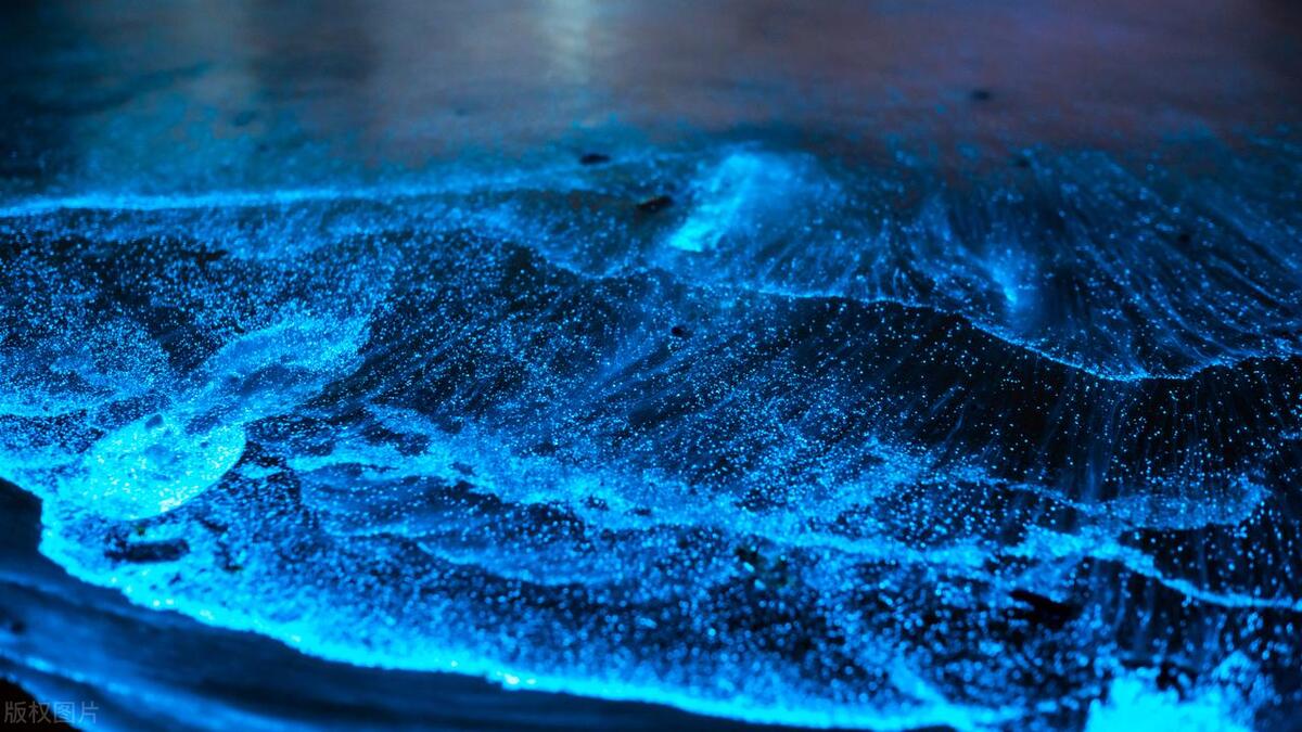 福建自驾游必去十大项目,从福建出发自驾游路线推荐