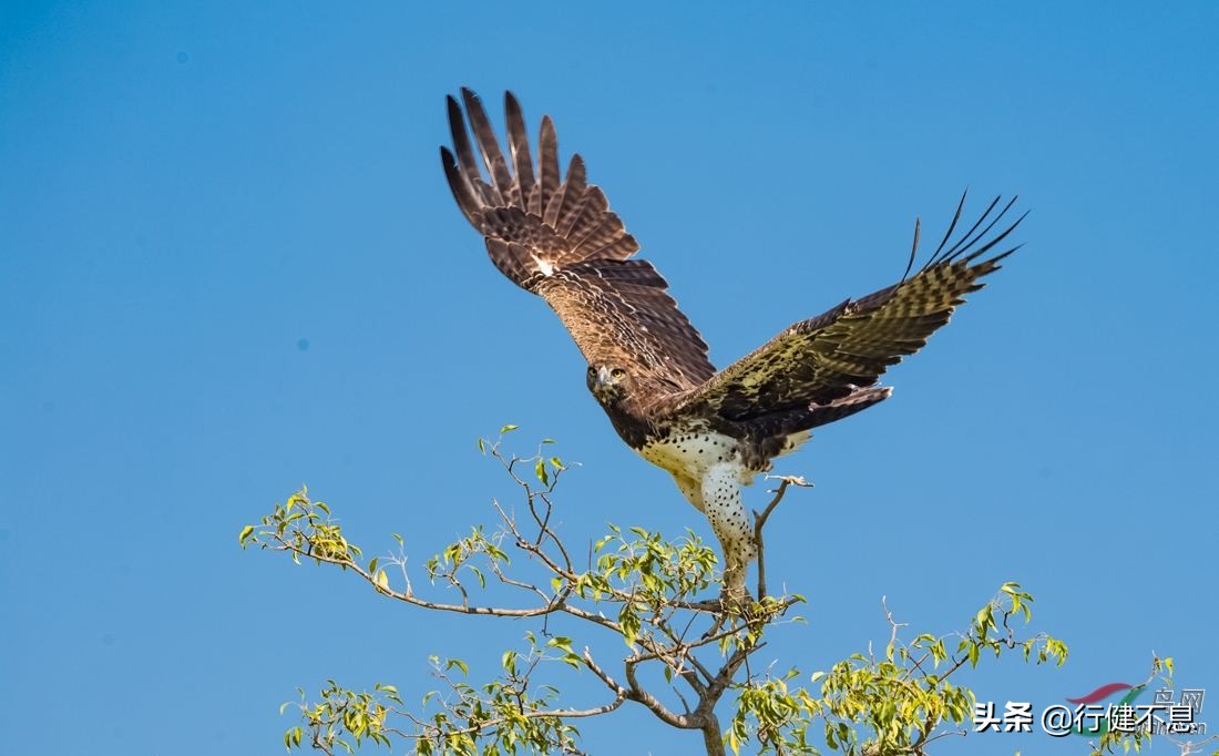 门对寒流雪满山的翻译,门对寒流雪满山
