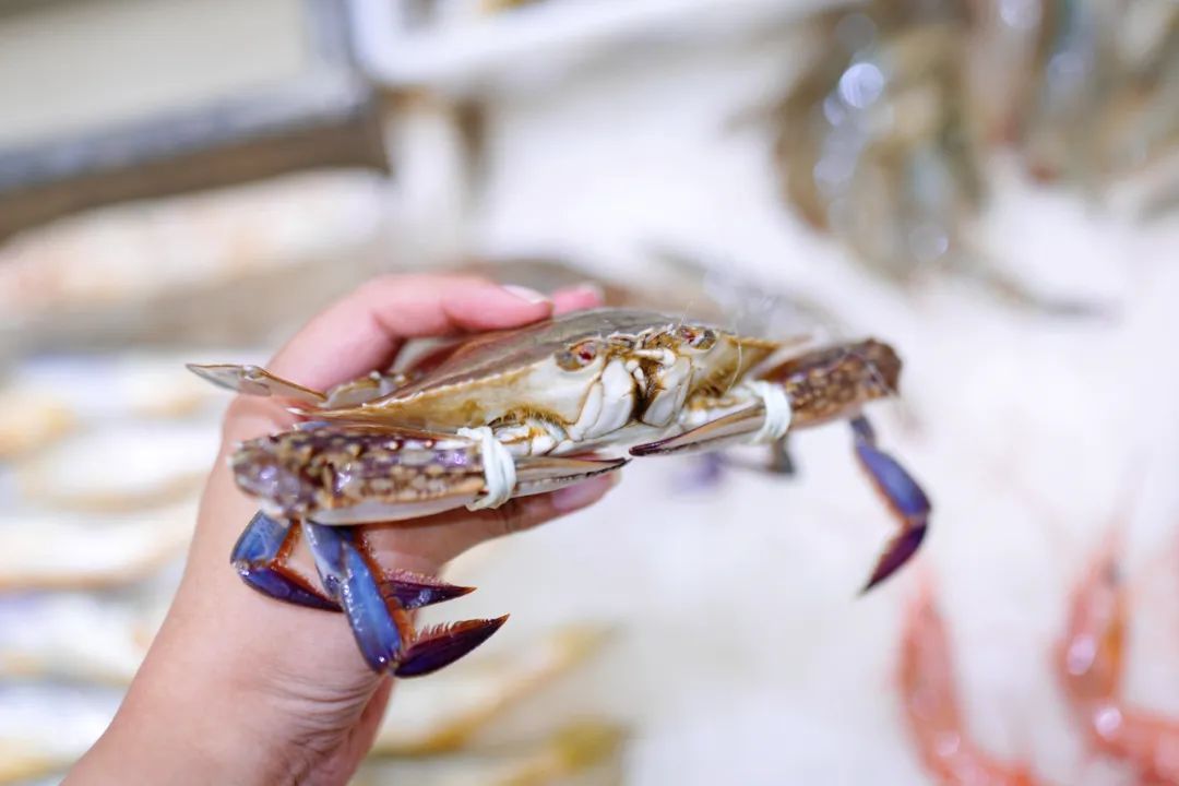 真吃不下了,这个靠海吃海的小县城怎么就能这么好吃