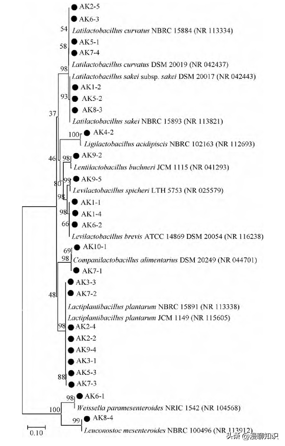 安康鲊广椒细菌是什么？关于它菌群多样性、功能及相关性分析
