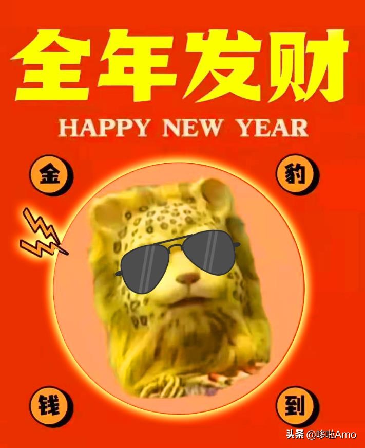 金钱豹动物科普介绍,金钱豹科普