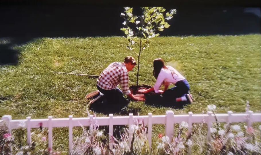 怦然心动家庭教育,怦然心动女孩对男孩说的话