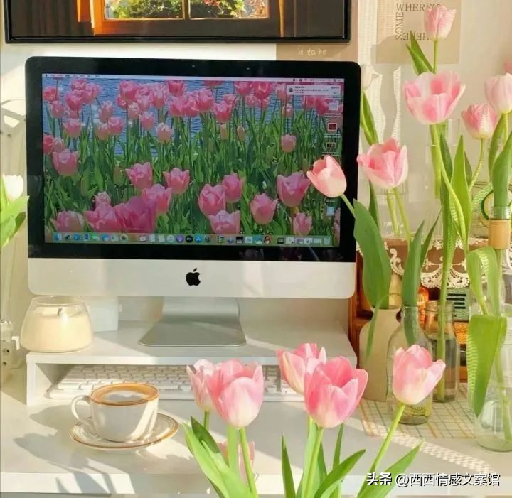 微信个性签名短句干净置顶,一些微信置顶个性签名合集