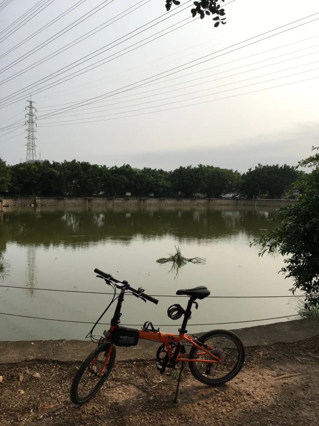 旭光车行雅迪电动车,旭光单车