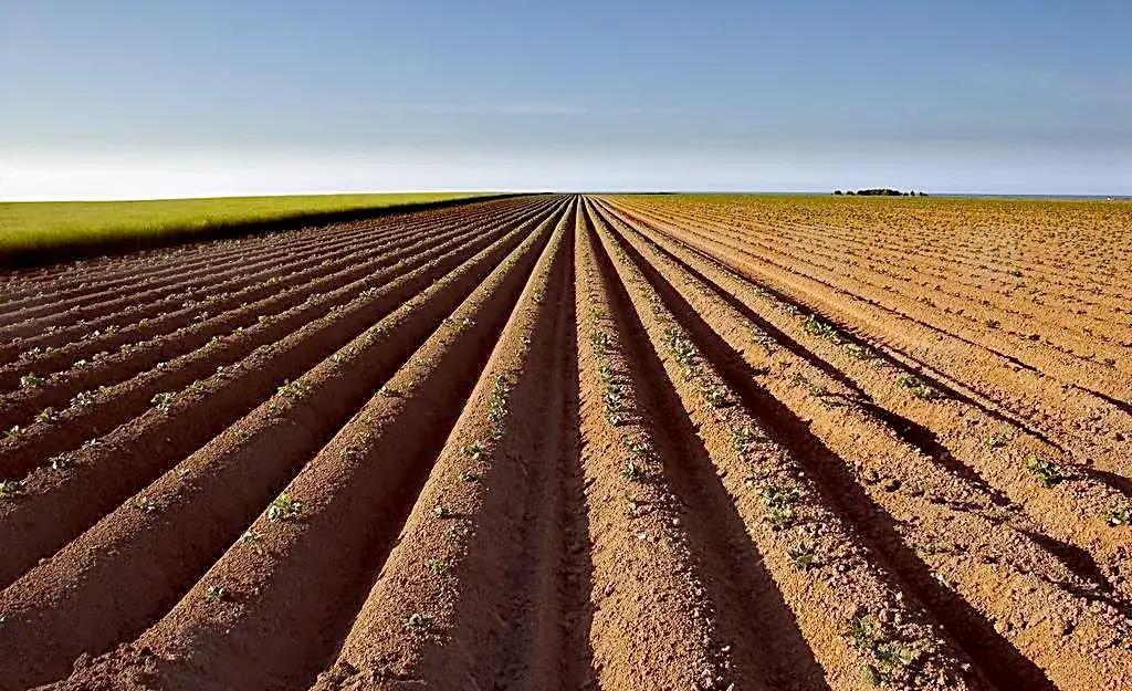沈阳军区陆军学院,沈阳军区陆军总医院