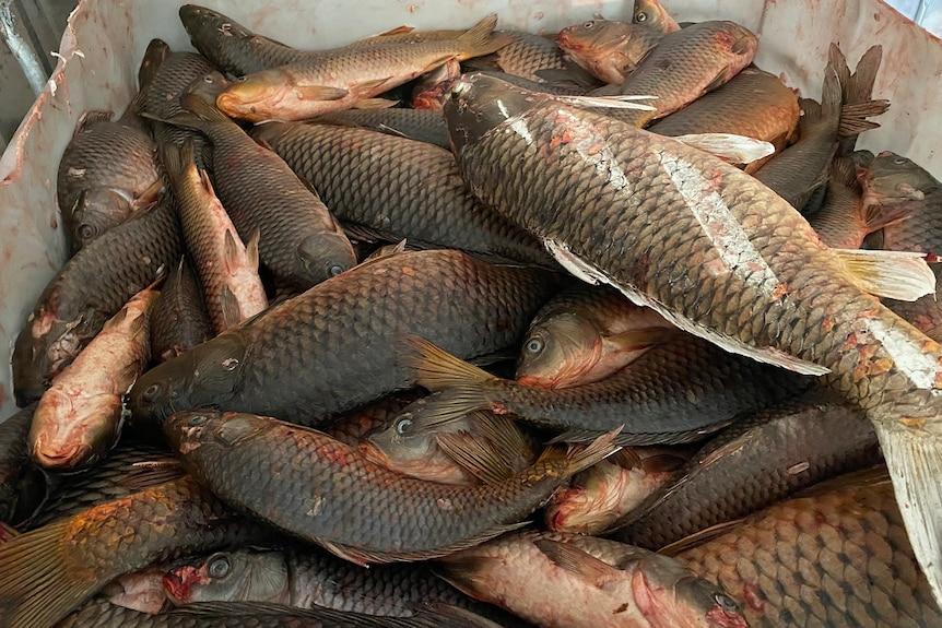 婢虫床椴ら奔娉涙互鎴愮伨瑙嗛,涓夋潯澶ч奔鍫典綇娌抽亾