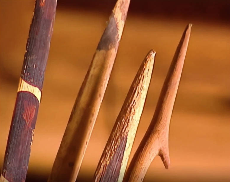 月亮之子图片,佐埃人为什么下巴要插木棍