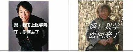 最新十大天坑,十大天坑专业之首