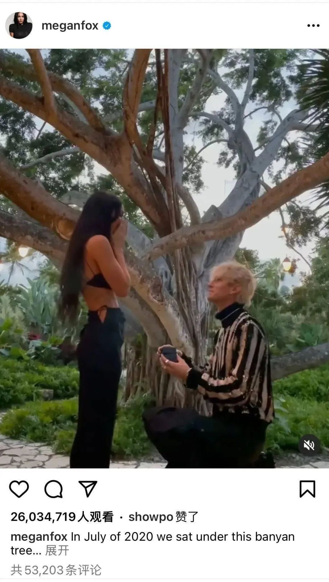 世界三大求婚戒指,拿破仑求婚钻戒