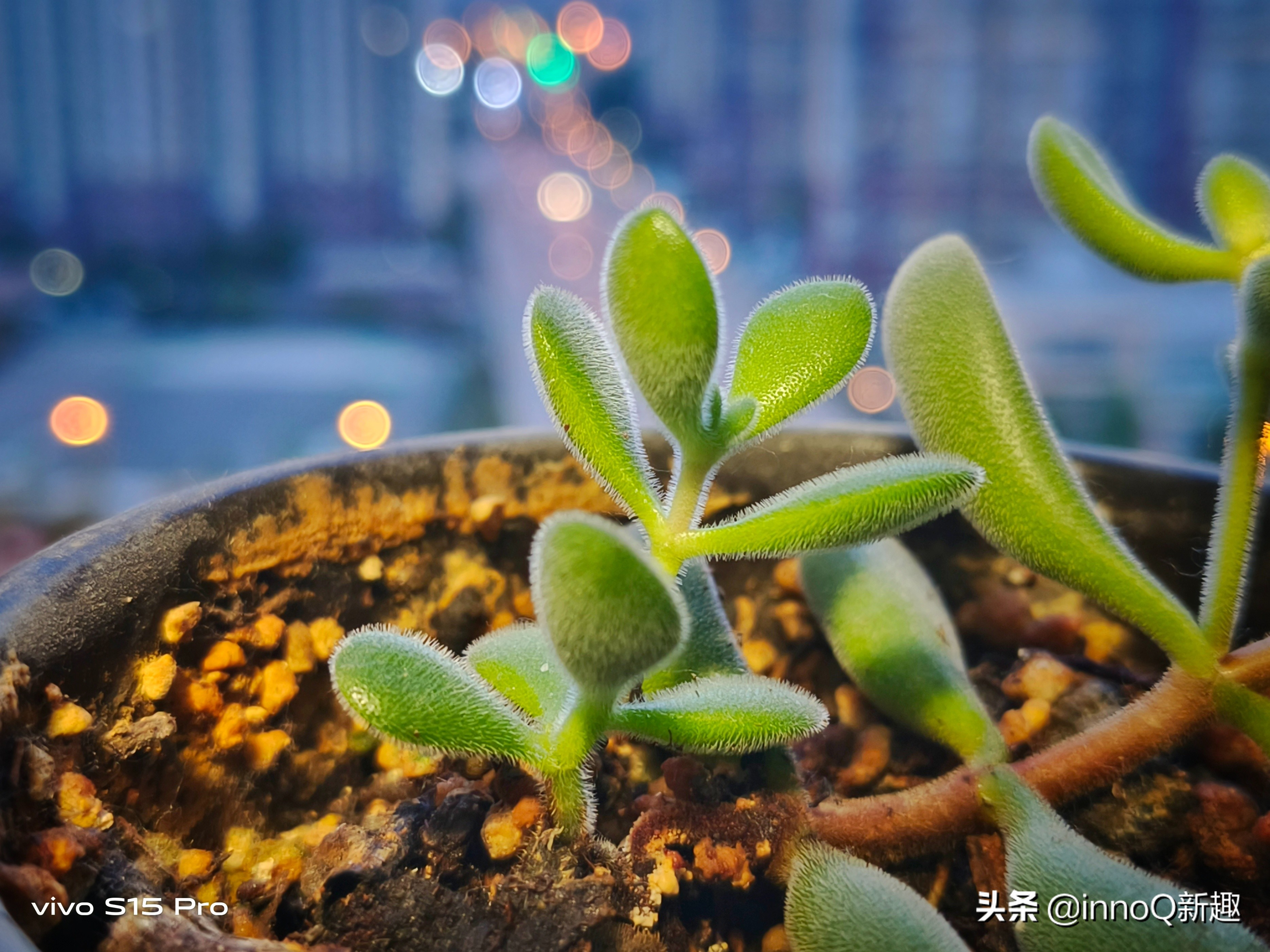 vivos15pro体验感,VivoS15Pro上手体验：陌生又熟悉