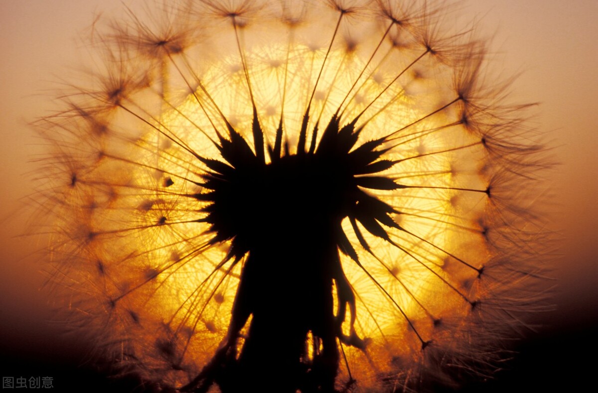 我是一个怎么样的人,我是一个怎么样的人呢