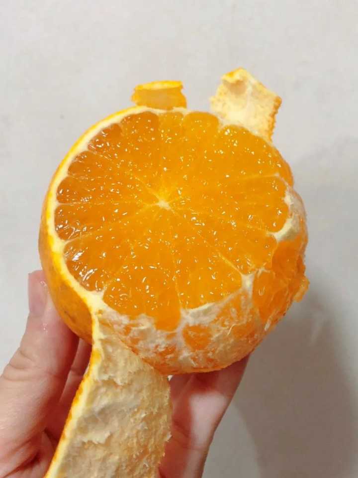 健康养生的零食都有哪些,健康养生零食大全