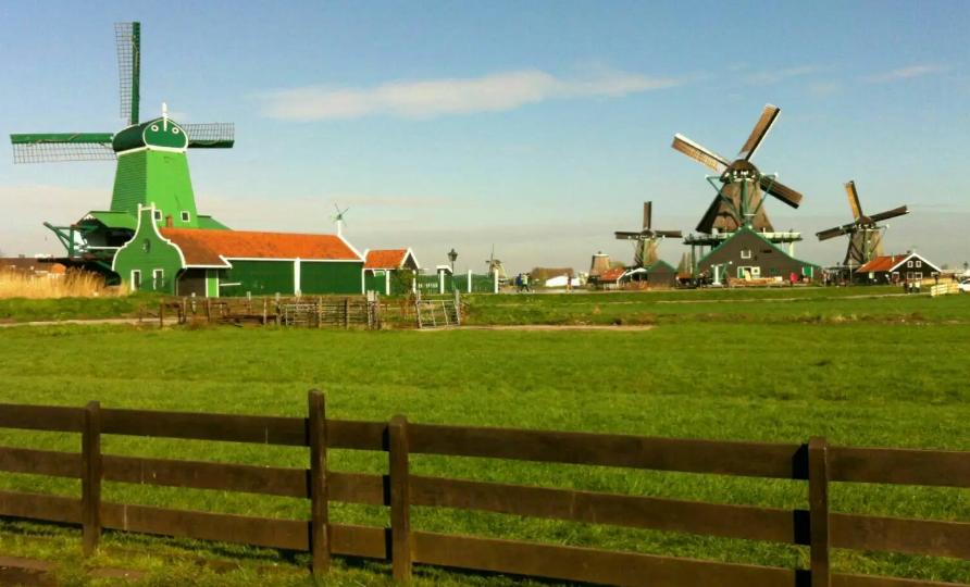 美国婴儿奶粉口碑最好的前十名,美国有哪些新生儿奶粉品牌