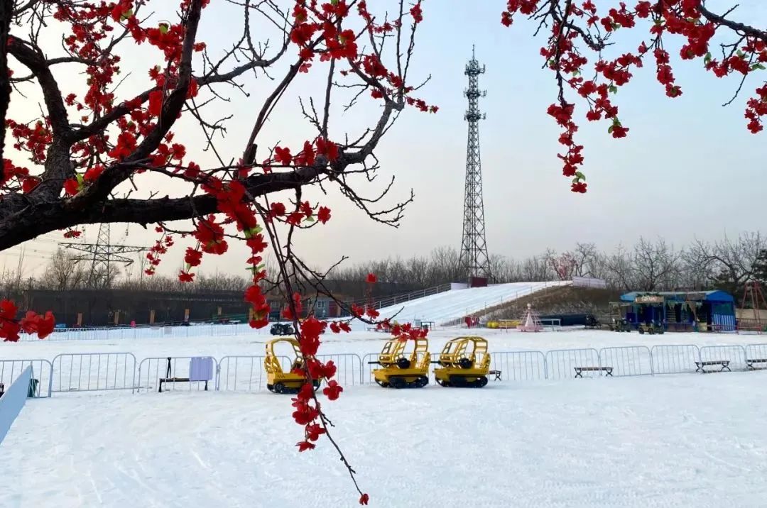 滑冰玩雪,滑冰场旅游