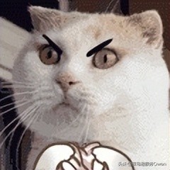 亚马逊加拿大站怎么注册,亚马逊新手做新加坡站